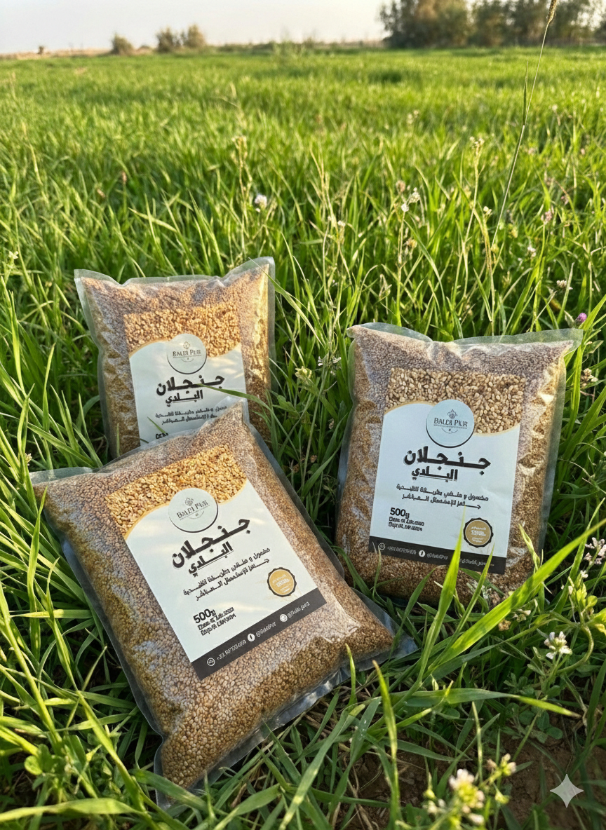 جنجلان بلدي