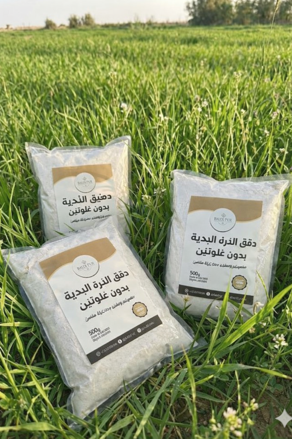 دقيق الذرة البلدية بدون غلوتين